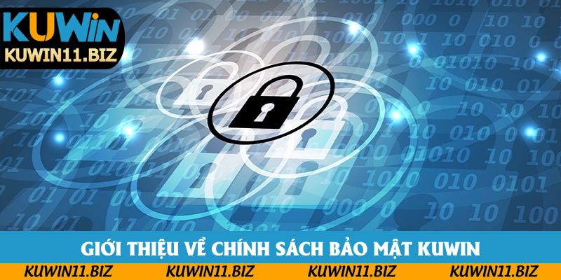 Giới thiệu vài nét về chính sách bảo mật Kuwin Giới thiệu vài nét về chính sách bảo mật Kuwin