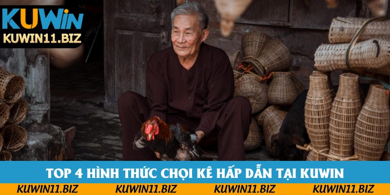 Top 4 hình thức chọi kê hấp dẫn tại Kuwin Top 4 hình thức chọi kê hấp dẫn tại Kuwin