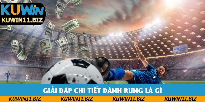 Giải đáp chi tiết đánh rung là gì Giải đáp chi tiết đánh rung là gì