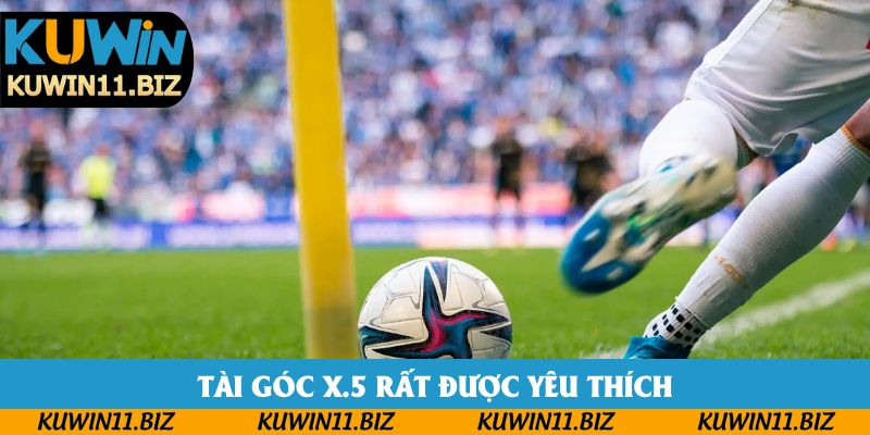 Tài góc X.5 rất được yêu thích Tài góc X.5 rất được yêu thích