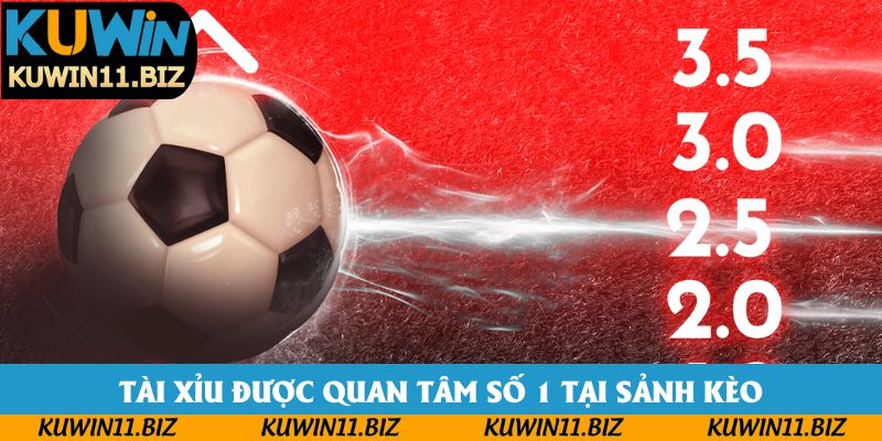 Tài Xỉu được quan tâm số 1 tại sảnh kèo Tài Xỉu được quan tâm số 1 tại sảnh kèo