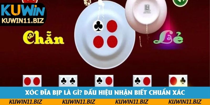 Xóc Đĩa Bịp Là Gì? Dấu Hiệu Nhận Biết Chuẩn Xác